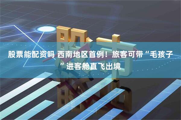 股票能配资吗 西南地区首例！旅客可带“毛孩子”进客舱直飞出境