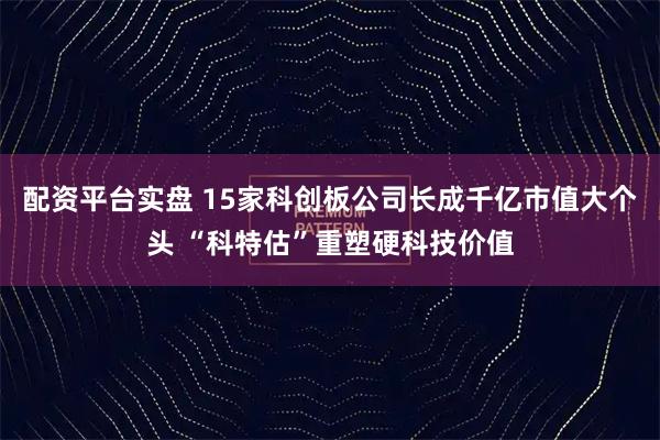 配资平台实盘 15家科创板公司长成千亿市值大个头 “科特估”重塑硬科技价值