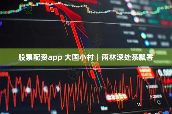 股票配资app 大国小村｜雨林深处茶飘香